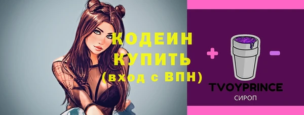 ПСИЛОЦИБИНОВЫЕ ГРИБЫ Баксан