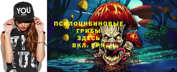 ПСИЛОЦИБИНОВЫЕ ГРИБЫ Баксан