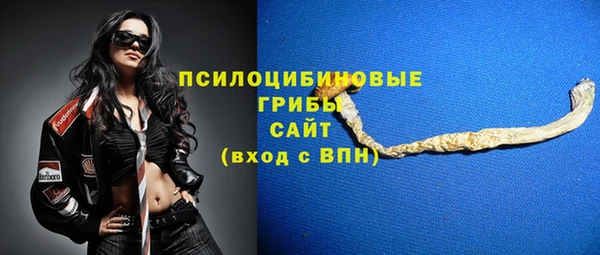 ПСИЛОЦИБИНОВЫЕ ГРИБЫ Баксан