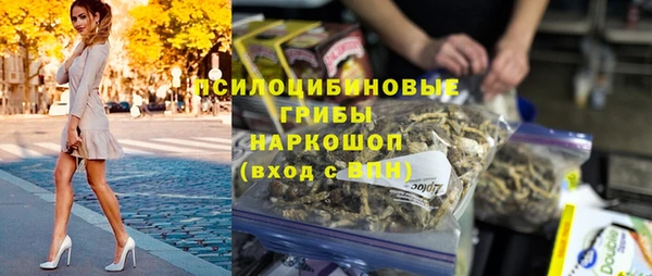 ПСИЛОЦИБИНОВЫЕ ГРИБЫ Баксан