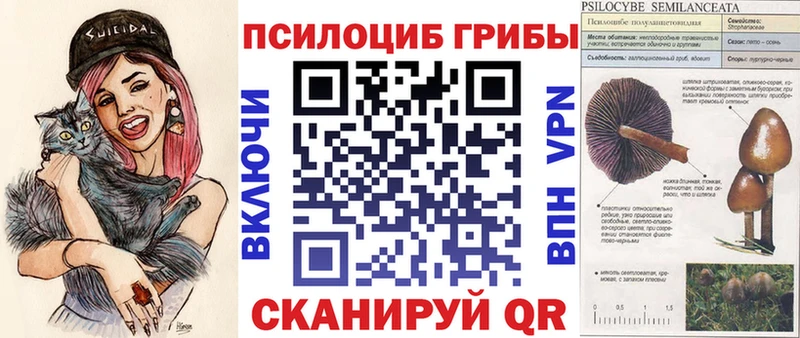Галлюциногенные грибы GOLDEN TEACHER  сколько стоит  Кемерово 